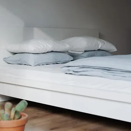 Mednyanszky Apartamento *